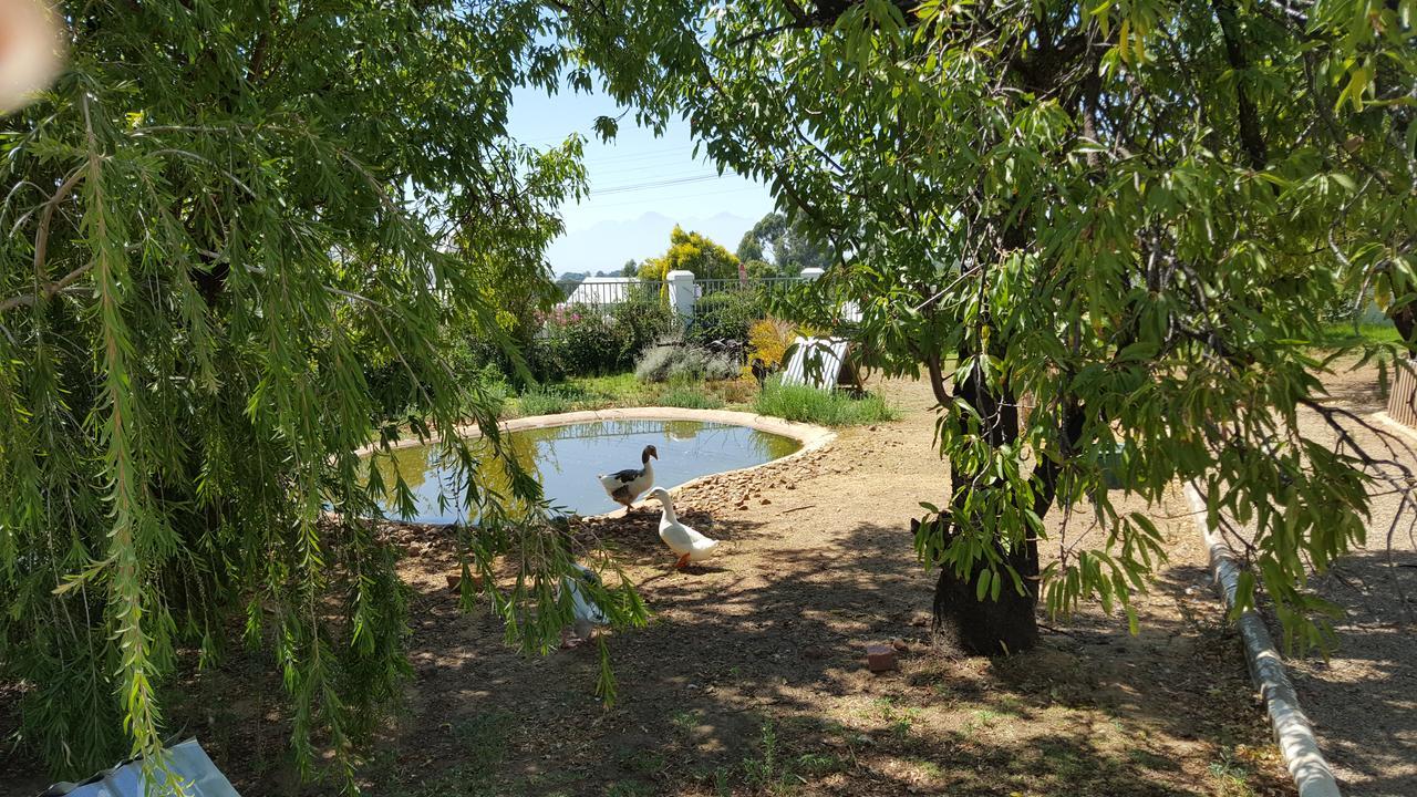 Merindol Manor Riebeek-West Exterior photo
